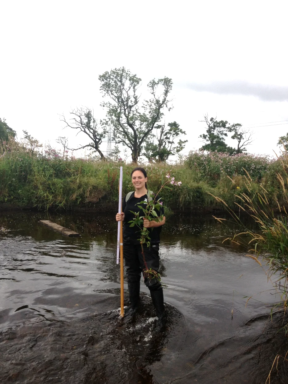 Wading through the River Gryfe with a Himalayan balsam plant in tow.