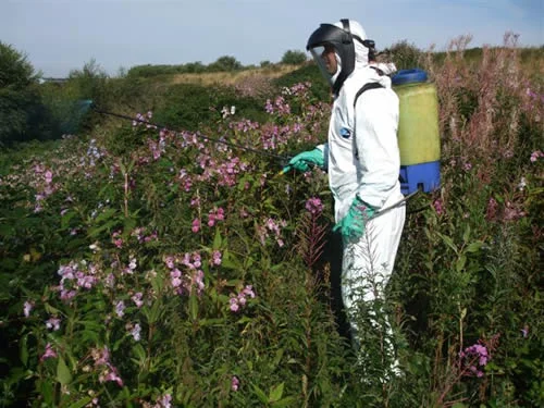 © 2009 UK Weed Control Ltd