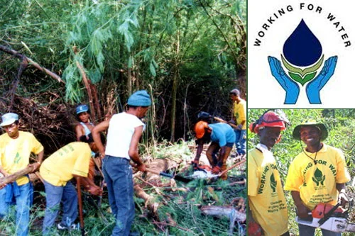 © 2012 Garden Route Initiative, Working for Water Programme.