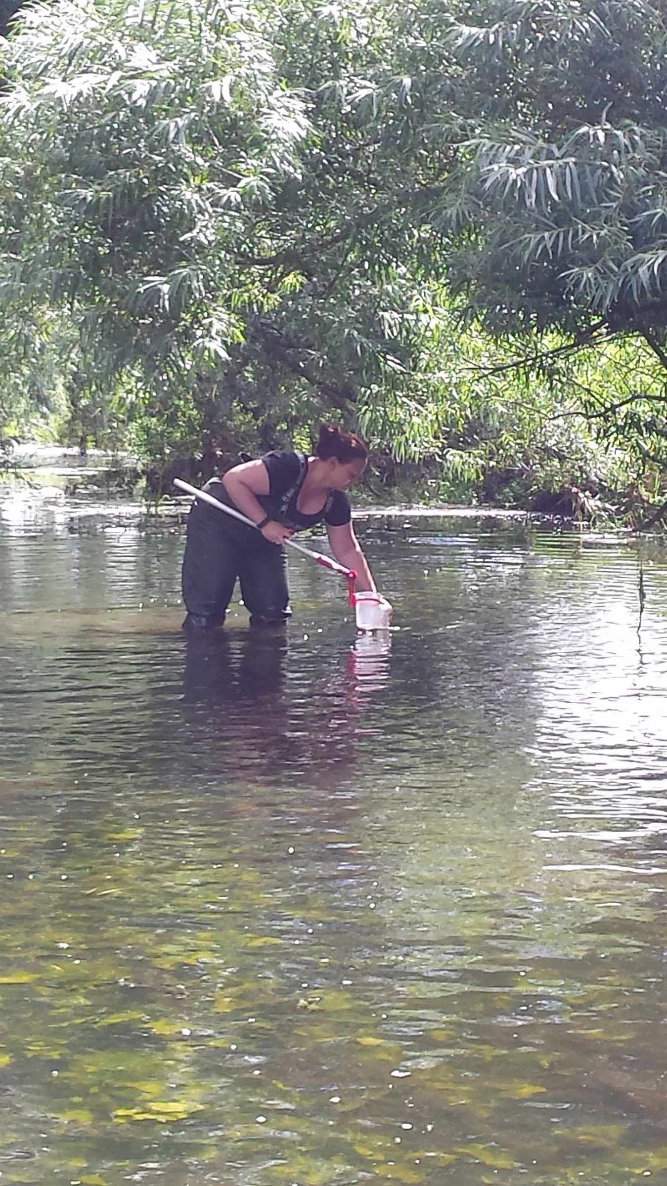 A researcher taking measurements while standing in a river