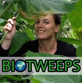 Dr Zarah Pattison pictured beneath large leaves on a Biotweeps graphic