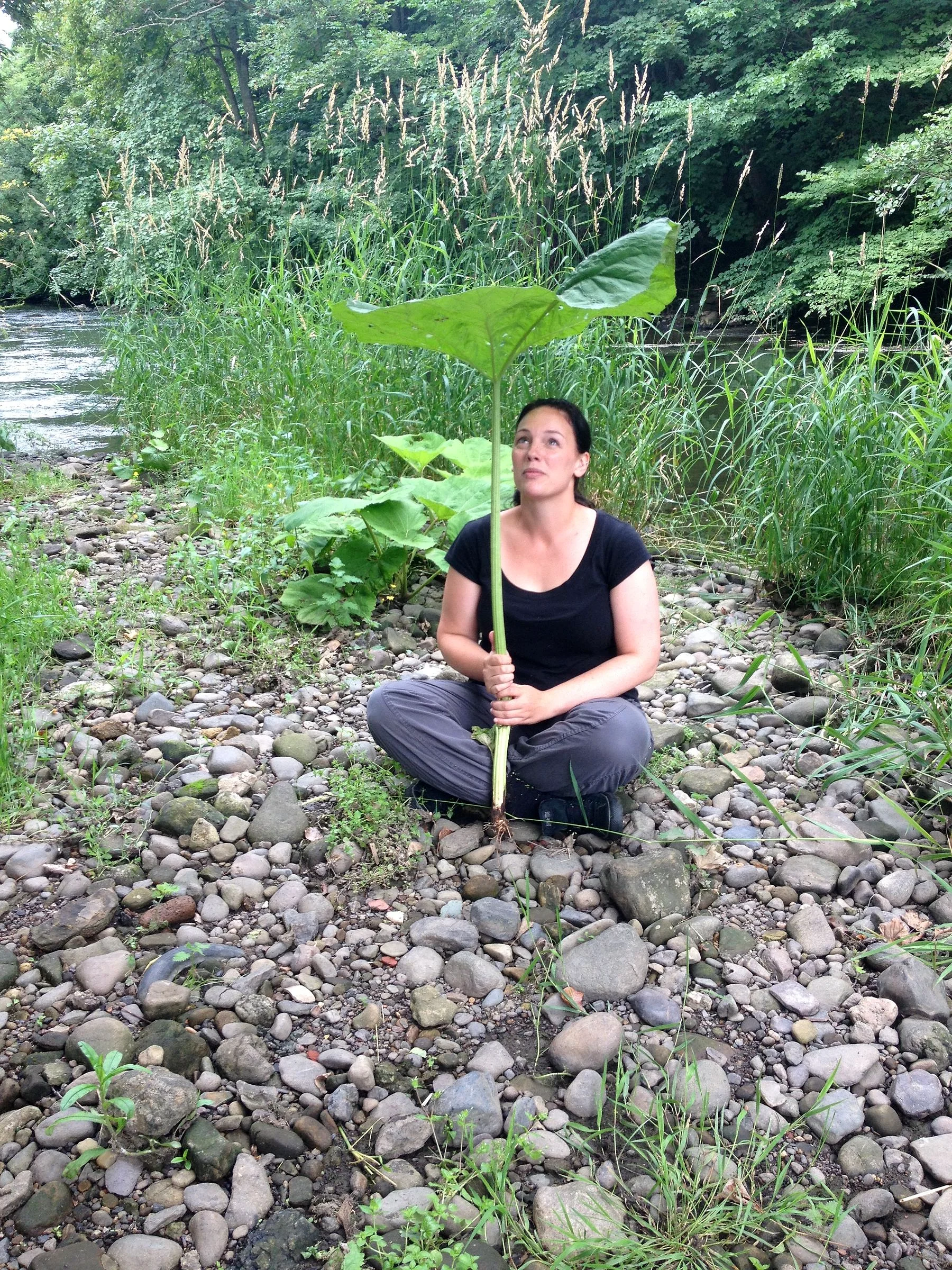 Dr Zarah Pattison crouching among stones and plants beside a river